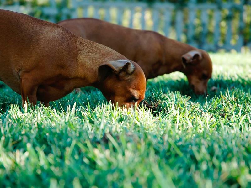 sudoku mega pack screenshot 6