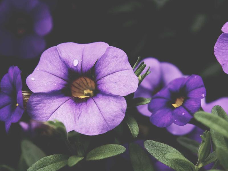 sudoku mega pack screenshot 5