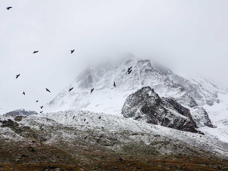 sudoku mega pack screenshot 3